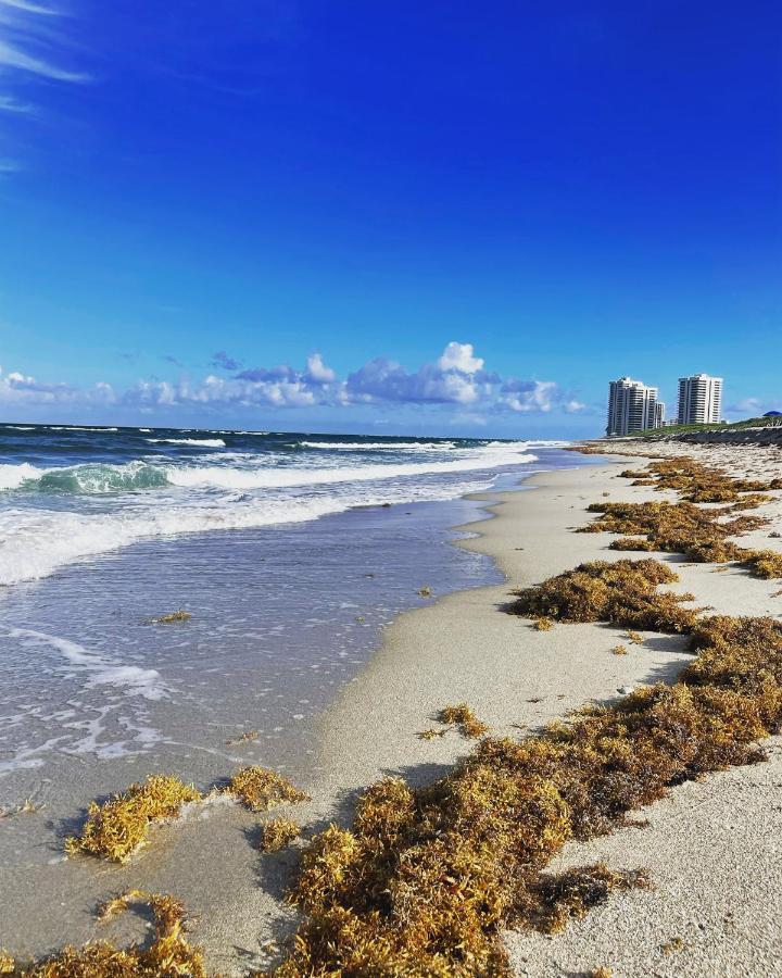 Cozy Sun And Sky 2 Hotel West Palm Beach Esterno foto